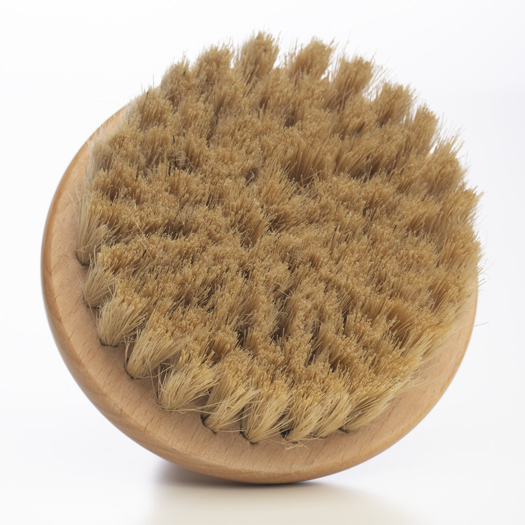 Dry Brush “Rounded - Dr Raw